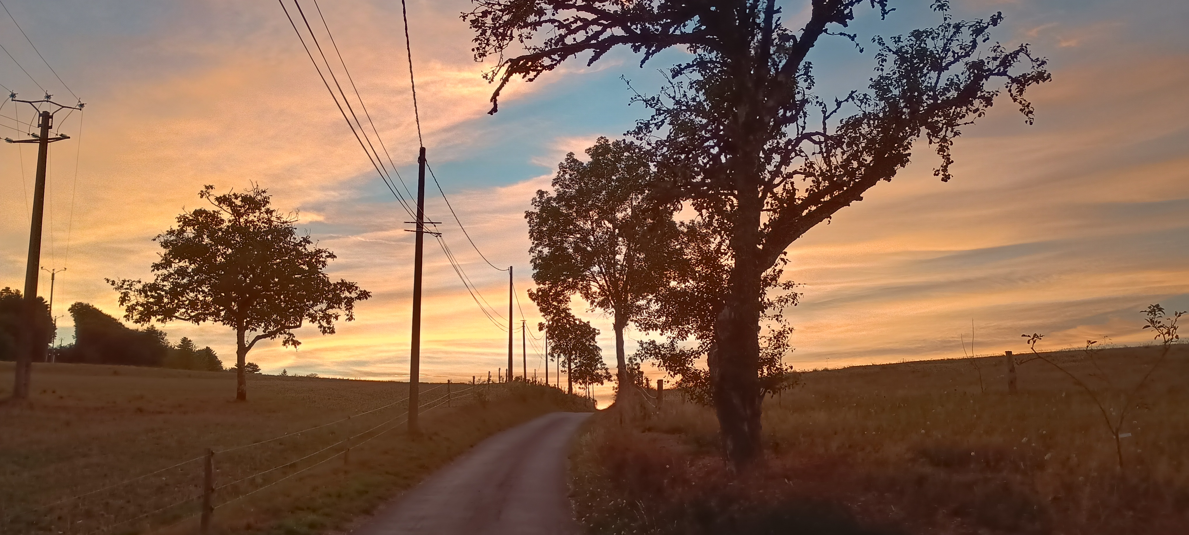 Up the lane